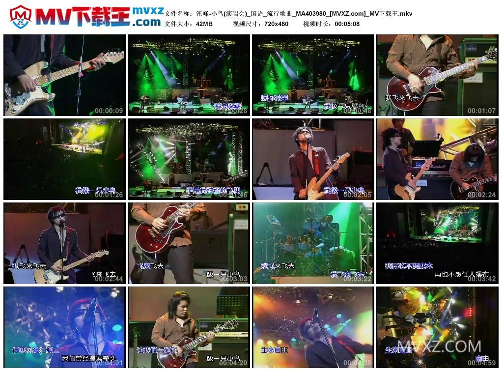 汪峰-小鸟(演唱会)_国语_流行歌曲_MA403980